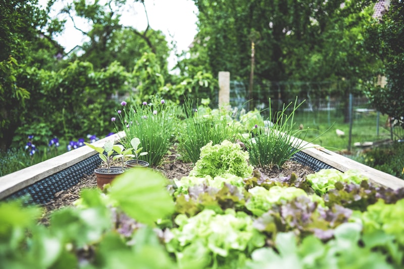 Herb garden arrangement