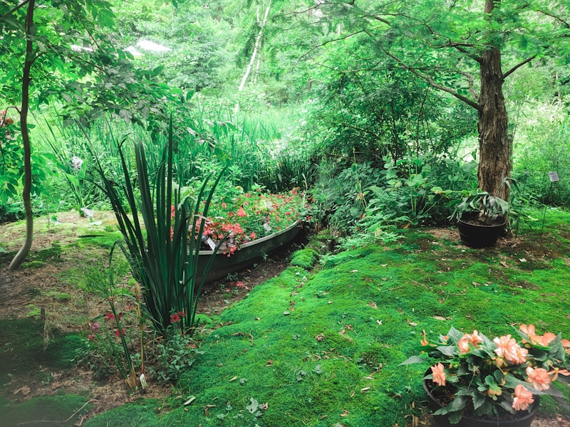 Urban garden design